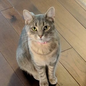 Meet your Posher, Drake